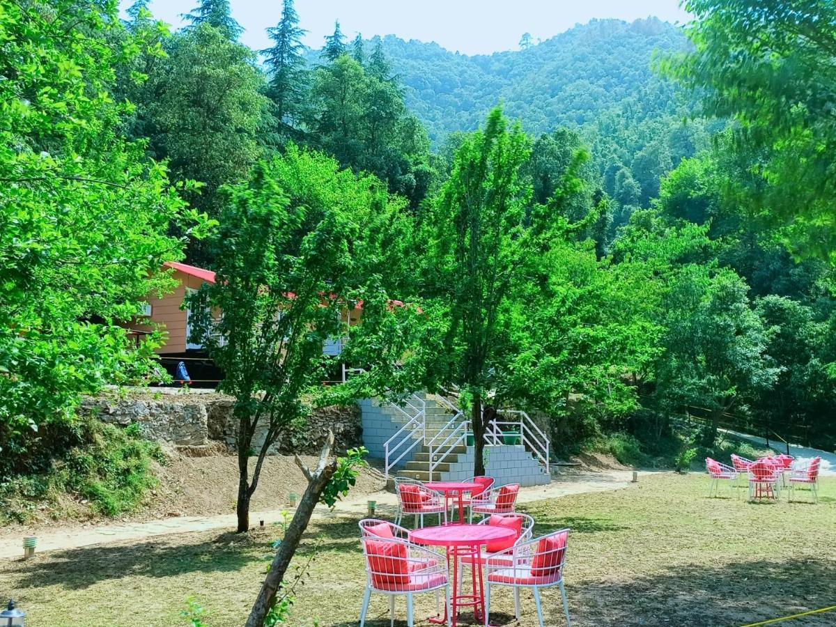 Aaroham Resort Shimla ! Luxury Cottage By Aamod Group Exteriér fotografie
