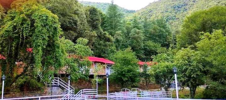 Aaroham Resort Shimla ! Luxury Cottage By Aamod Group Exteriér fotografie