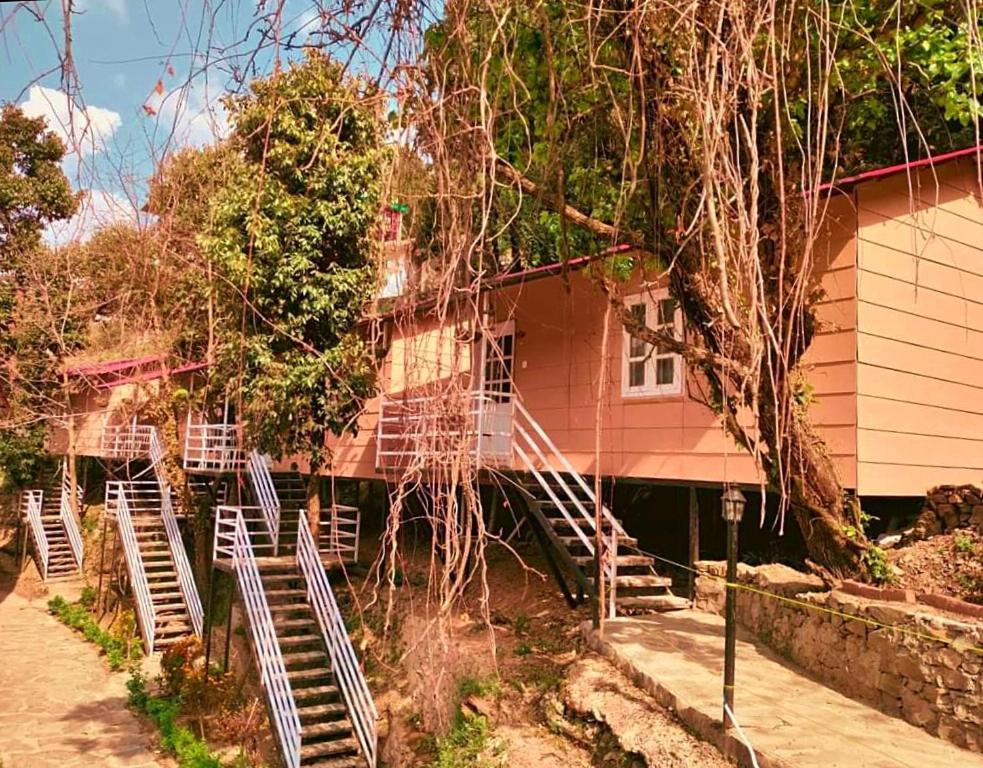 Aaroham Resort Shimla ! Luxury Cottage By Aamod Group Exteriér fotografie