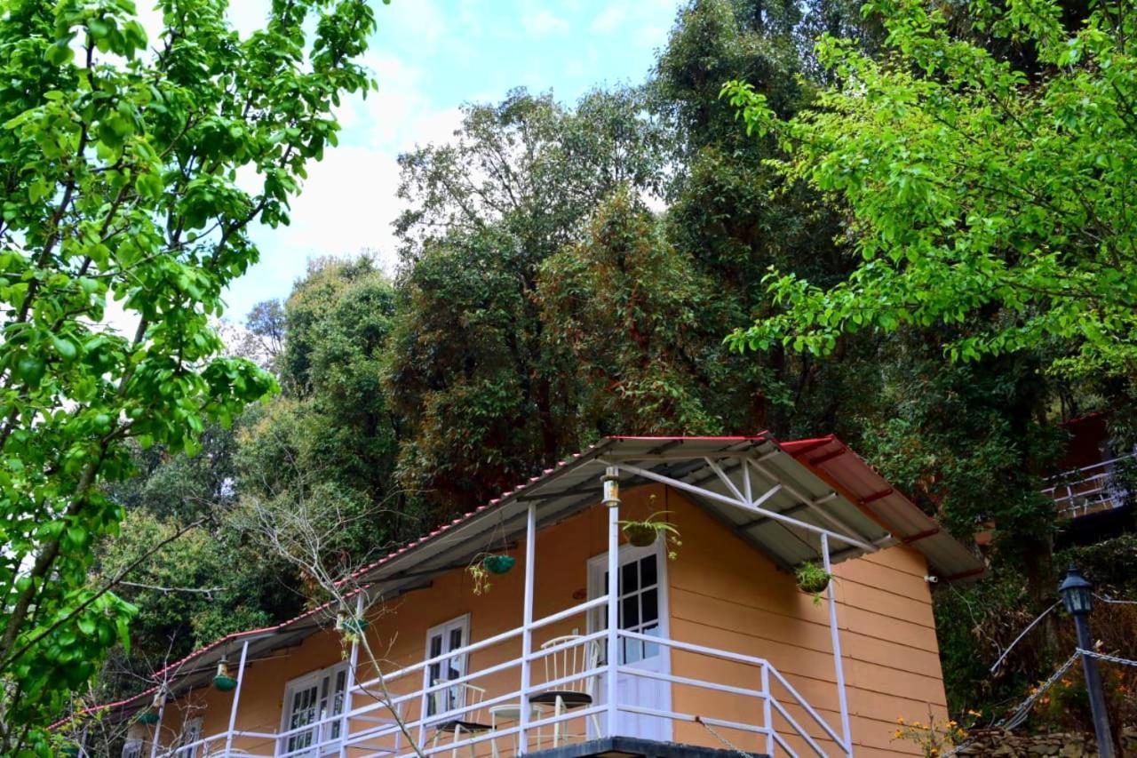 Aaroham Resort Shimla ! Luxury Cottage By Aamod Group Exteriér fotografie